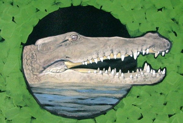 David Rock-Crocodile