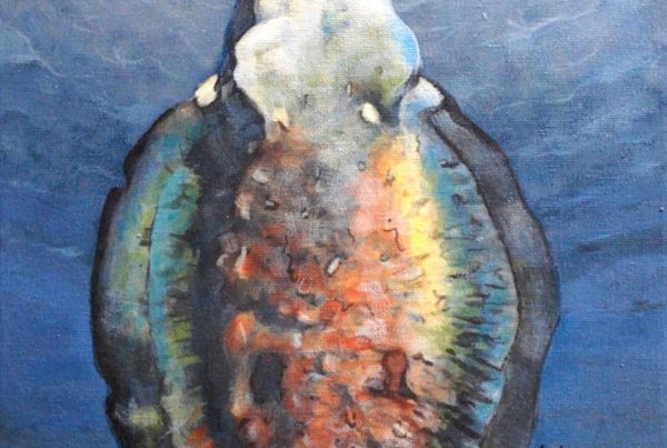 David Rock - Cuttlefish