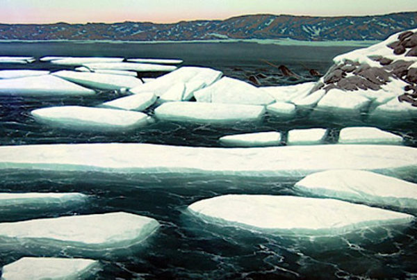 arctic diorama mural-The Wildlife Experienc
